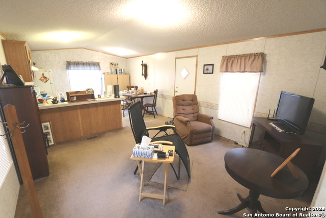 337 Lost Spring Dr, Floresville, Texas image 16