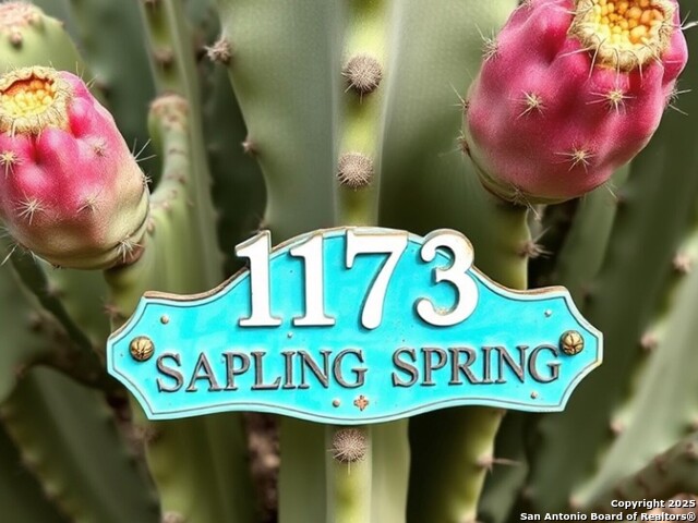 1173 Sapling Spg, New Braunfels, Texas image 37