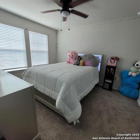 15703 Cardamom, Von Ormy, Texas image 24