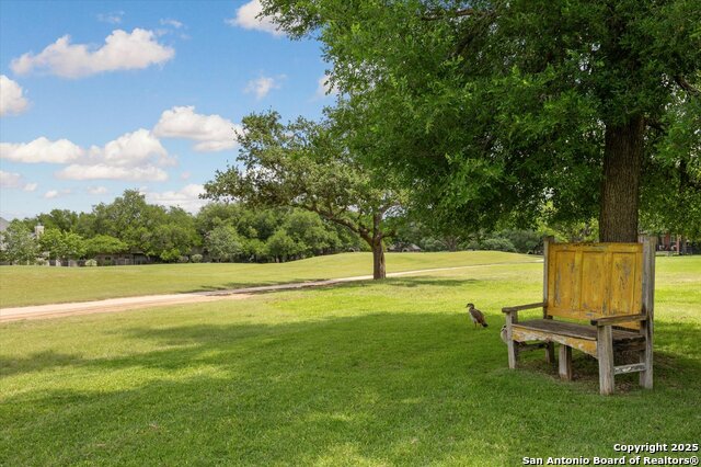 29818 Fairway Vista Dr, Fair Oaks Ranch, Texas image 47