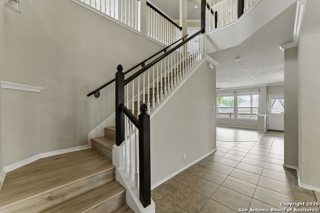 229 Kensington, Cibolo, Texas image 18