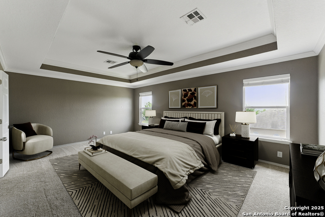 229 Kensington, Cibolo, Texas image 20