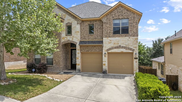 614 Gazania Field, San Antonio, Texas image 3