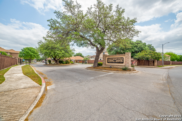 806 Sycamore Moon, San Antonio, Texas image 18