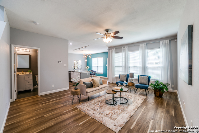 806 Sycamore Moon, San Antonio, Texas image 2