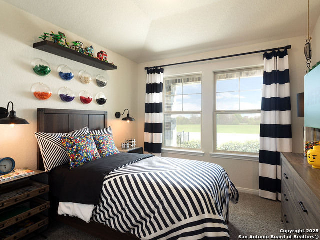 134 Barton Point, Cibolo, Texas image 11