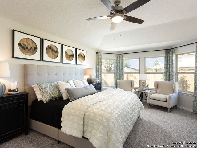 134 Barton Point, Cibolo, Texas image 7