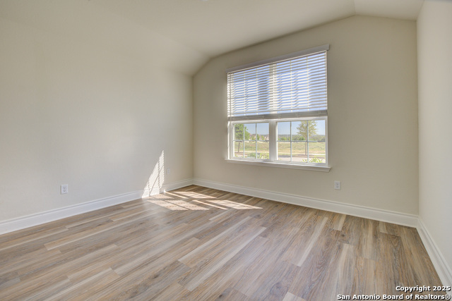485 Rosemellow, New Braunfels, Texas image 21