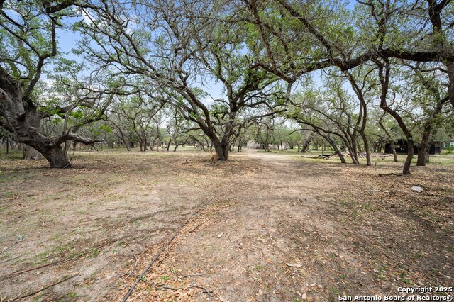 157 County Road 6816, Natalia, Texas image 28