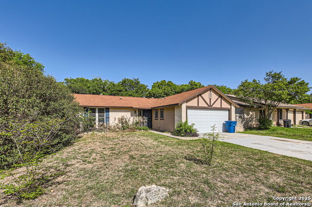8203 Bowens Crossing St, San Antonio, Texas image 4