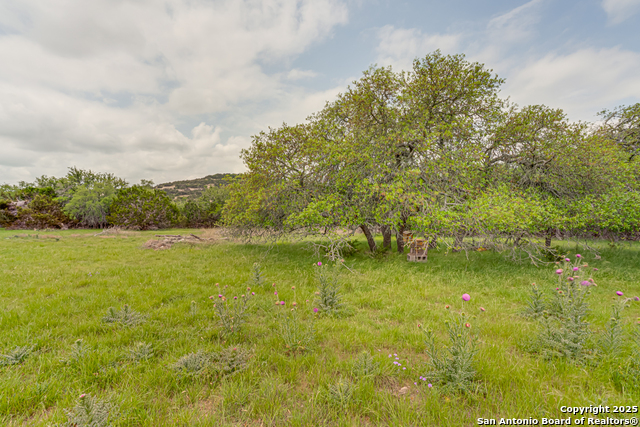 104 Northview, Kendalia, Texas image 46