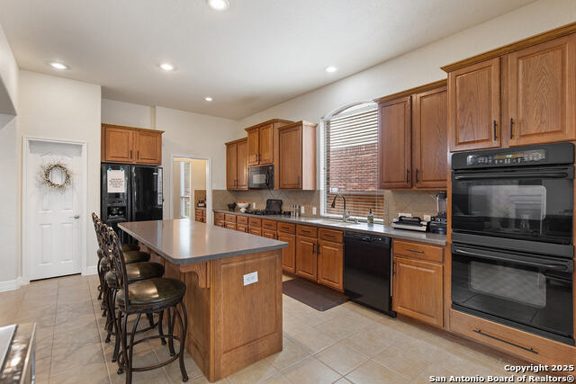 406 Penstemon, San Antonio, Texas image 26