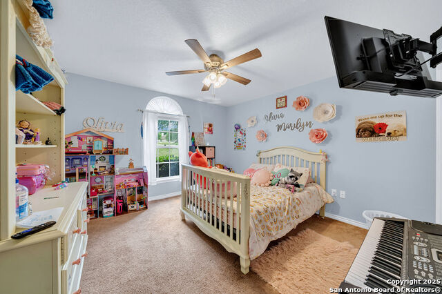 1253 Hillside Oaks, La Vernia, Texas image 19