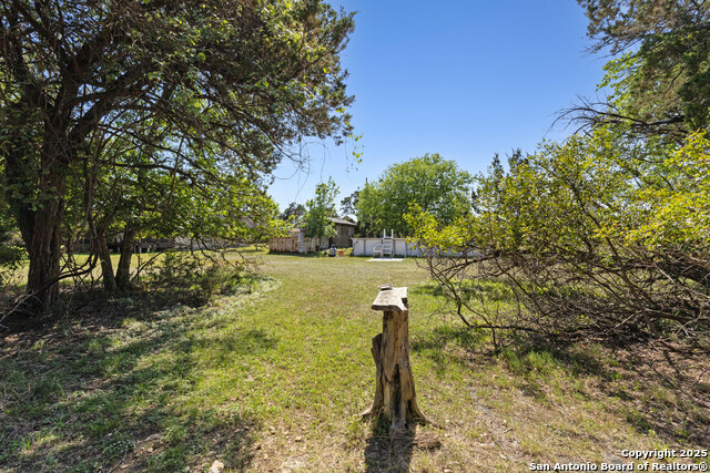 1605 Zane Grey, Spring Branch, Texas image 20