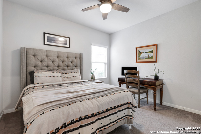 749 Willowbrook, New Braunfels, Texas image 30