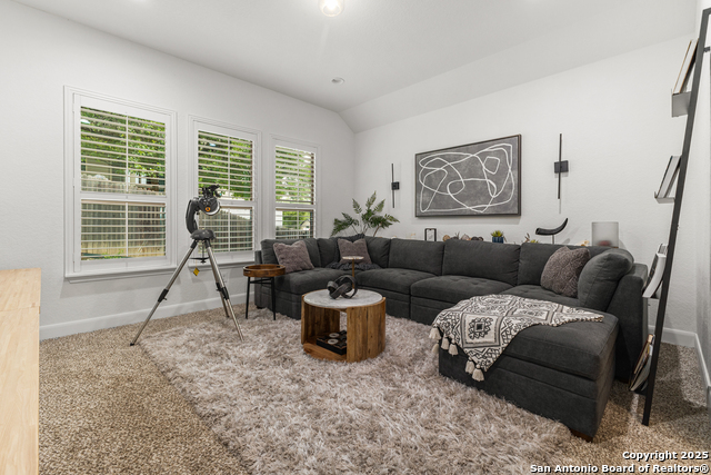 8603 Gelvani Vina, Boerne, Texas image 25