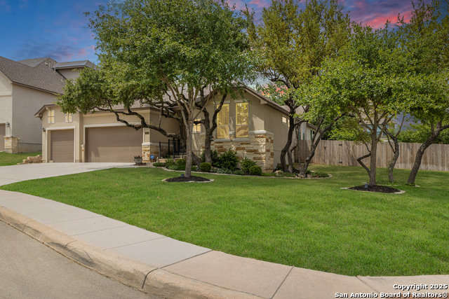 8603 Gelvani Vina, Boerne, Texas image 3