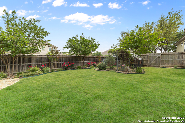 8603 Gelvani Vina, Boerne, Texas image 38