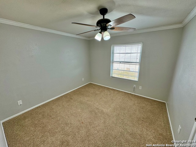 806 Olive, Jourdanton, Texas image 10
