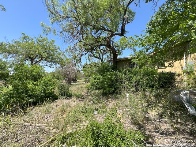 5736 E Fm 1518, Saint Hedwig, Texas image 25