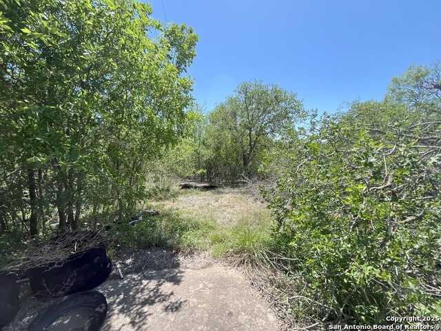 5736 E Fm 1518, Saint Hedwig, Texas image 31