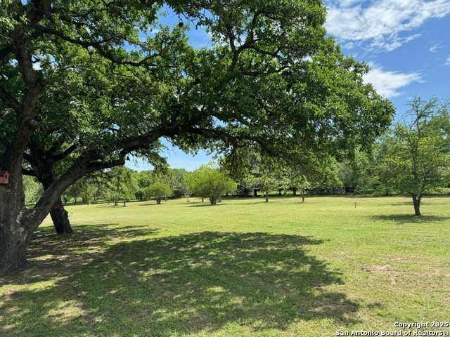155 Ranch Country, La Vernia, Texas image 4