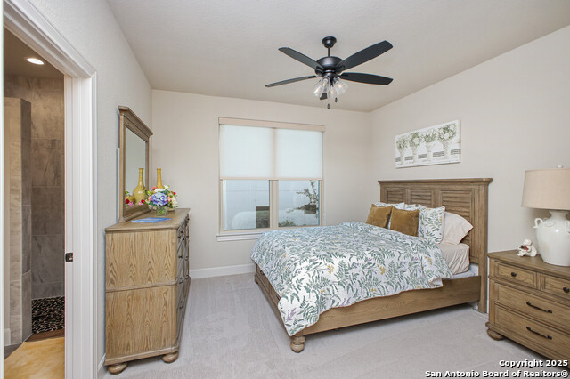 23006 Casey Cyn, San Antonio, Texas image 33