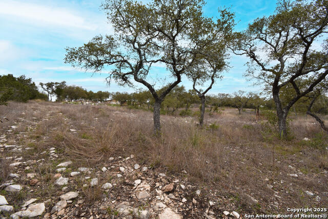 235 County Road 2720, Mico, Texas image 45