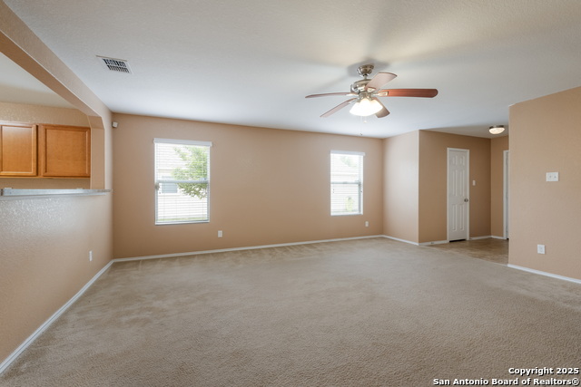 245 Blue Moon Gait, Selma, Texas image 20