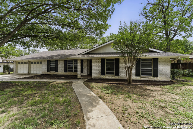 6022 Wildwind, Windcrest, Texas image 3