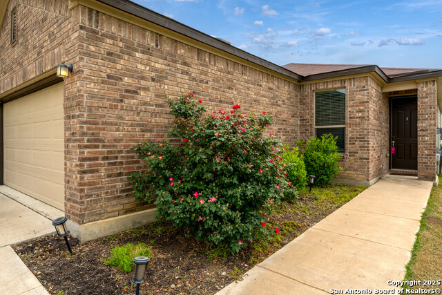 4650 Trevor Way, San Antonio, Texas image 5
