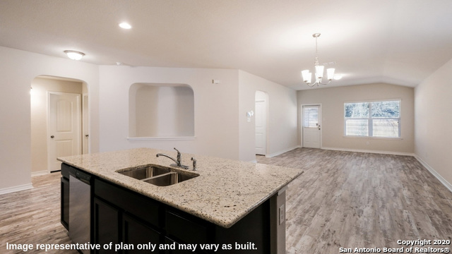 192 Squacco Heron, San Antonio, Texas image 11