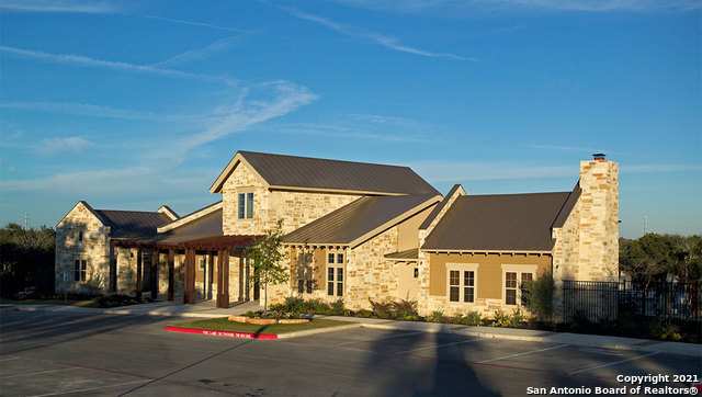 192 Squacco Heron, San Antonio, Texas image 36
