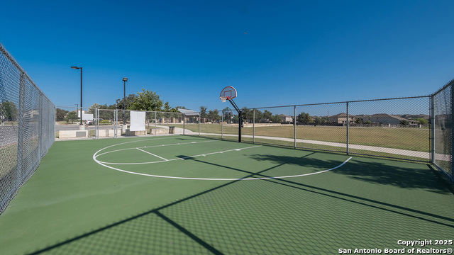 200 Squacco Heron, San Antonio, Texas image 44