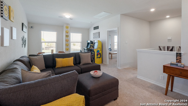 210 Squacco Heron, San Antonio, Texas image 13