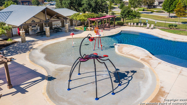 210 Squacco Heron, San Antonio, Texas image 30