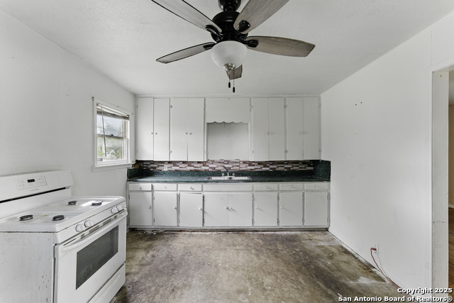239 School Avenue, New Braunfels, Texas image 9