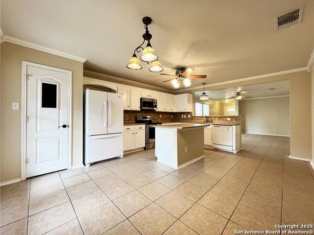 8840 Staghorn, Converse, Texas image 11