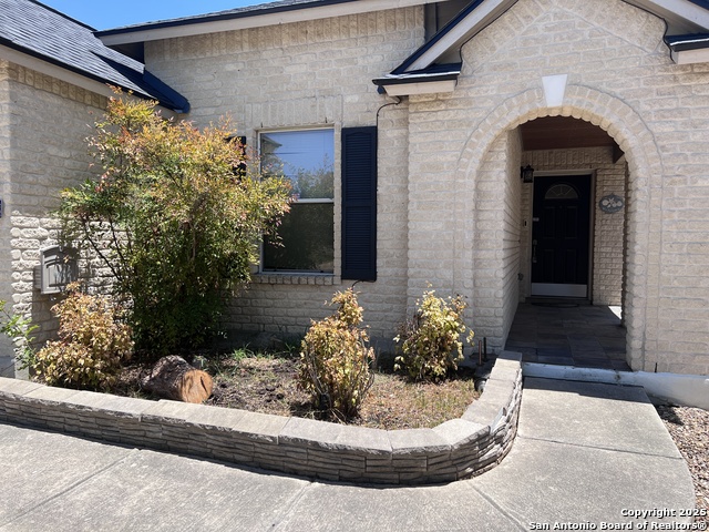 8840 Staghorn, Converse, Texas image 4