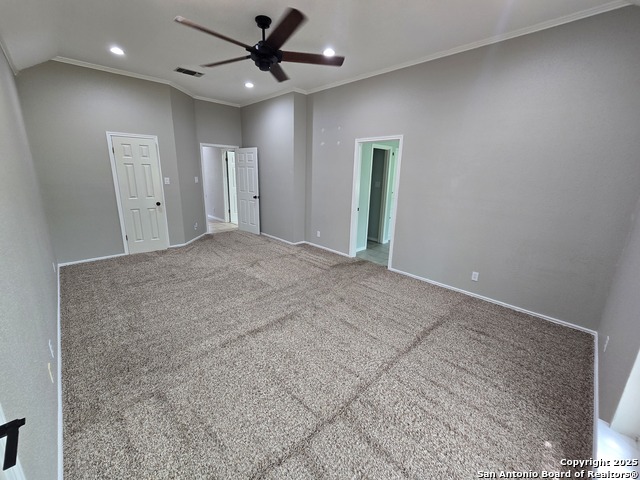 616 Vienna, Castroville, Texas image 19