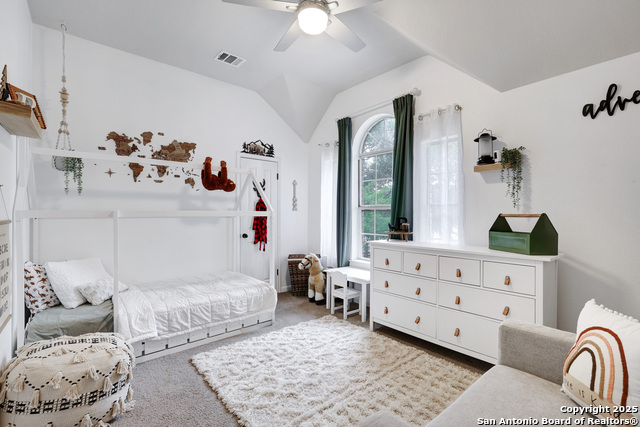 205 Kariba Cv, Cibolo, Texas image 31