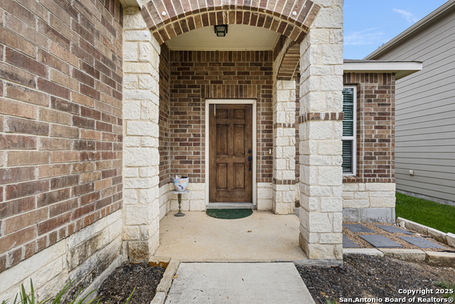 173 Texas Thistle, New Braunfels, Texas image 2