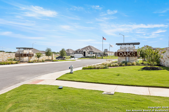 3708 Moru Oak Drive, Seguin, Texas image 9