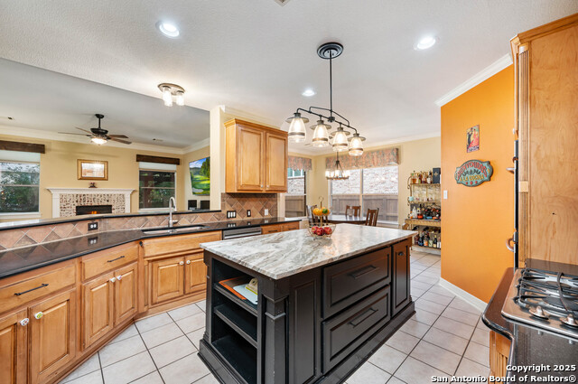 18607 Double Fork, San Antonio, Texas image 9