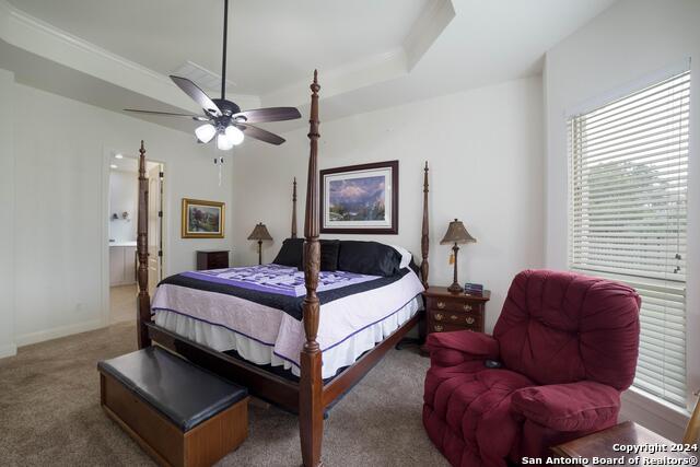 2532 Klemm, New Braunfels, Texas image 12