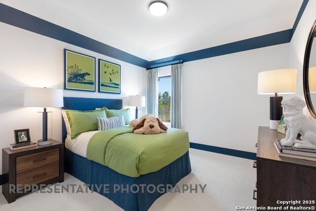 248 Bodensee, New Braunfels, Texas image 24