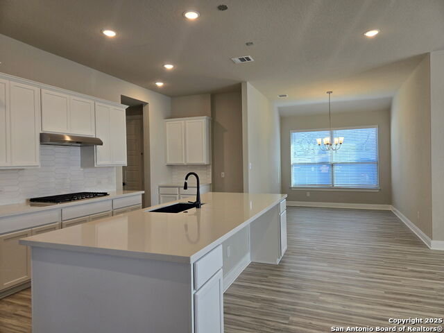 521 Foxtail Canyon, Cibolo, Texas image 7