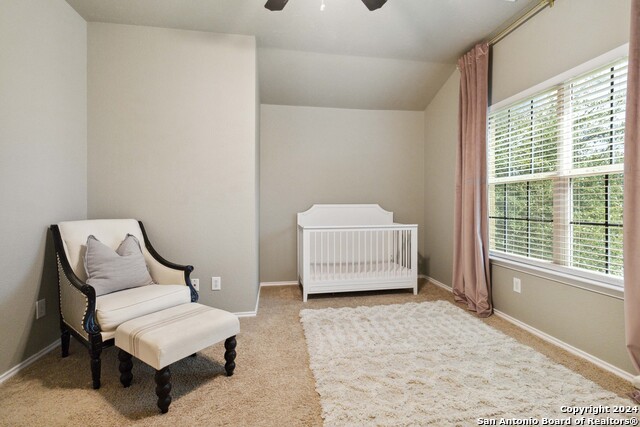 8935 Audubon Park, Converse, Texas image 31