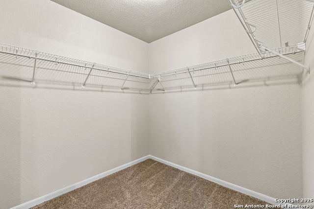 3919 Maiden Way, Converse, Texas image 19