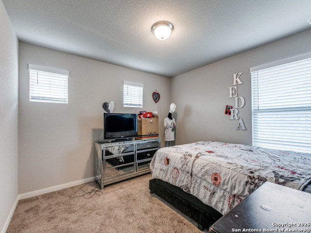 1406 Argon, San Antonio, Texas image 25